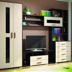 Гостиная ЕВРОПА-1 (Венге/Дуб молочный) в Салехарде - salekhard.mebel24.online | фото