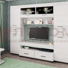 Гостиная Камелия Композиция 10 (Снежный ясень) в Салехарде - salekhard.mebel24.online | фото