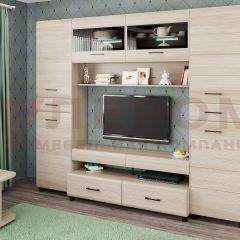 Гостиная Камелия Композиция 10 (Ясень Асахи) в Салехарде - salekhard.mebel24.online | фото