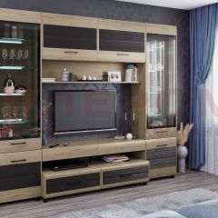 Гостиная Камелия Композиция 11 (Гикори Джексон светлый комбинированный) в Салехарде - salekhard.mebel24.online | фото