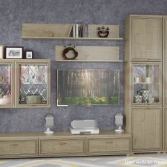 Гостиная Карина Композиция 1 (Гикори Джексон светлый) в Салехарде - salekhard.mebel24.online | фото