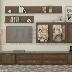 Гостиная Карина Композиция 10 (Акация Молдау) в Салехарде - salekhard.mebel24.online | фото