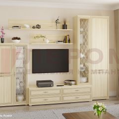 Гостиная Карина Композиция 12 (Ясень Асахи) в Салехарде - salekhard.mebel24.online | фото