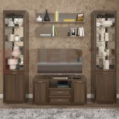 Гостиная Карина Композиция 13 (Акация Молдау) в Салехарде - salekhard.mebel24.online | фото