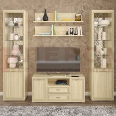 Гостиная Карина Композиция 13 (Ясень Асахи) в Салехарде - salekhard.mebel24.online | фото