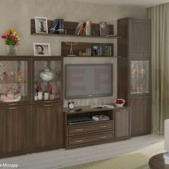 Гостиная Карина Композиция 22 (Акация Молдау) в Салехарде - salekhard.mebel24.online | фото