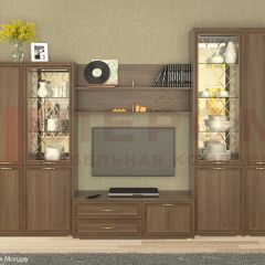 Гостиная Карина Композиция 24 (Акация Молдау) в Салехарде - salekhard.mebel24.online | фото