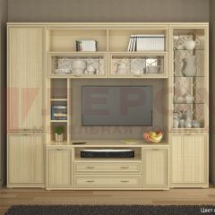 Гостиная Карина Композиция 9 (Ясень Асахи) в Салехарде - salekhard.mebel24.online | фото