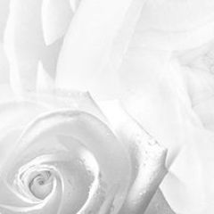 Кухонный фартук Цветы 217 МДФ матовый (3000) Flowers в Салехарде - salekhard.mebel24.online | фото