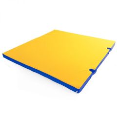 Мат гимнастический 1х1х0,05м с вырезом под стойки цв. синий-желтый в Салехарде - salekhard.mebel24.online | фото 1