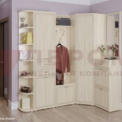 Прихожая Карина композиция 5 (Ясень Асахи) в Салехарде - salekhard.mebel24.online | фото