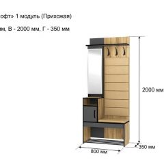 ОЛЬГА-ЛОФТ 1 Прихожая в Салехарде - salekhard.mebel24.online | фото 4