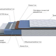 PROxSON Матрас Active Duo M/F (Ткань Трикотаж Эко) 120x195 в Салехарде - salekhard.mebel24.online | фото 7