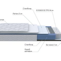 PROxSON Матрас Active Duo S/F (Ткань Трикотаж Эко) 120x195 в Салехарде - salekhard.mebel24.online | фото 7