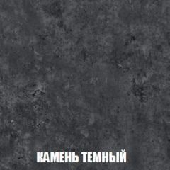 Шкаф 2-х створчатый МСП-1 (Дуб Золотой/Камень темный) в Салехарде - salekhard.mebel24.online | фото 5