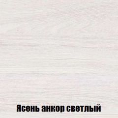 Шкаф 2-х створчатый МСП-1 (Ясень Анкор светлый) в Салехарде - salekhard.mebel24.online | фото 4