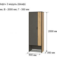 ОЛЬГА-ЛОФТ 3 Шкаф 2-х створчатый в Салехарде - salekhard.mebel24.online | фото 4