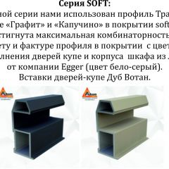 Шкаф-купе 1800 серии SOFT D6+D4+B2+PL2 (2 ящика+1штанга+1 полка) профиль «Капучино» в Салехарде - salekhard.mebel24.online | фото 13