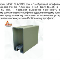 Шкаф-купе 2150 серии NEW CLASSIC K4+K4+K4+B22+PL4(по 2 ящика лев/прав+F обр.штанга) профиль «Капучино» в Салехарде - salekhard.mebel24.online | фото 17
