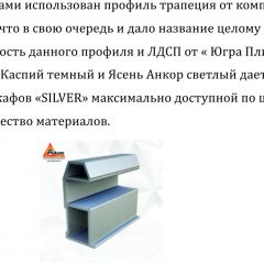 Шкаф-купе 2250 серии SILVER S5+S5+S5 B22+PL4 (по 2 ящика лев/прав+F обр.штанга) профиль «Серебро» в Салехарде - salekhard.mebel24.online | фото 4