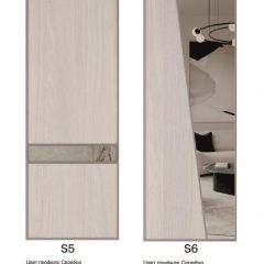Шкаф-купе 2250 серии SILVER S5+S5+S5 B22+PL4 (по 2 ящика лев/прав+F обр.штанга) профиль «Серебро» в Салехарде - salekhard.mebel24.online | фото 14