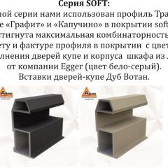 Шкаф-купе 2400 серии SOFT D4+D4+D4+B22+PL1 (по 2 ящика лев/прав+1штанга) профиль «Графит» в Салехарде - salekhard.mebel24.online | фото 12