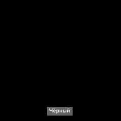 Шкаф купе без зеркала "Ольга-Лофт 10.1" в Салехарде - salekhard.mebel24.online | фото 6
