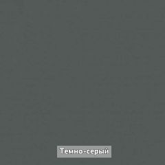 Шкаф купе без зеркала "Ольга-Лофт 10.1" в Салехарде - salekhard.mebel24.online | фото 7