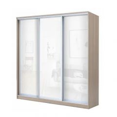 Шкаф-купе ХИТ 22-4-18-888 (420) в Салехарде - salekhard.mebel24.online | фото 6