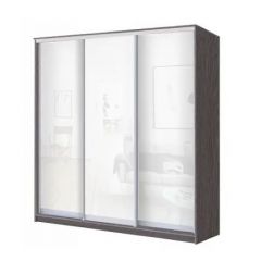 Шкаф-купе ХИТ 23-20-888 (620) в Салехарде - salekhard.mebel24.online | фото