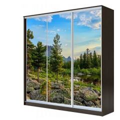 Шкаф-купе ХИТ 23-4-18-777 (420) в Салехарде - salekhard.mebel24.online | фото 1