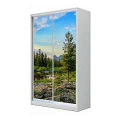 Шкаф-купе ХИТ 24-4-17-77 (420) в Салехарде - salekhard.mebel24.online | фото