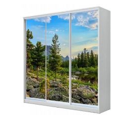 Шкаф-купе ХИТ 24-4-18-777 (420) в Салехарде - salekhard.mebel24.online | фото