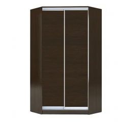 Шкаф-купе ХИТ-У-R-22-64-11 в Салехарде - salekhard.mebel24.online | фото