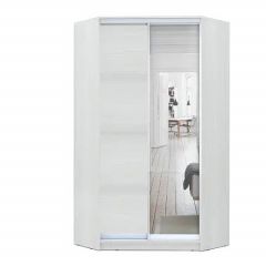 Шкаф-купе ХИТ-У-R-24-64-15 в Салехарде - salekhard.mebel24.online | фото