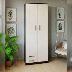 Шкаф распашной ПШ-3.9 в Салехарде - salekhard.mebel24.online | фото 3