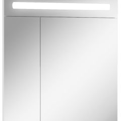 Шкаф-зеркало Аврора 65 с подсветкой LED Домино (DV8006HZ) в Салехарде - salekhard.mebel24.online | фото 1
