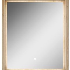 Шкаф-зеркало Nice 60 с подсветкой Домино (DN4706HZ) в Салехарде - salekhard.mebel24.online | фото 2