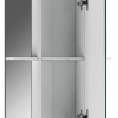 Шкаф-зеркало Норма 2-50 правый АЙСБЕРГ (DA1608HZ) в Салехарде - salekhard.mebel24.online | фото 2