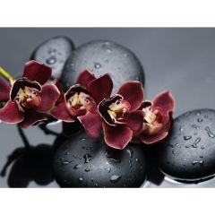 Стол обеденный Бостон Ст101.1 орхидеи в Салехарде - salekhard.mebel24.online | фото 3