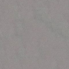 Стул растущий «Вуди» с чехлом 38 Попугаев (Береза, Серый) в Салехарде - salekhard.mebel24.online | фото 3