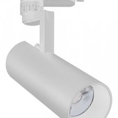 Светильник на штанге Escada 20029 20029TRA/01LED SWH в Салехарде - salekhard.mebel24.online | фото