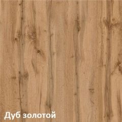 Вуди Шкаф для одежды 13.138 в Салехарде - salekhard.mebel24.online | фото 4