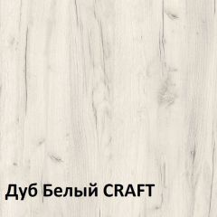 Юнона Шкаф торцевой 13.221 в Салехарде - salekhard.mebel24.online | фото 3