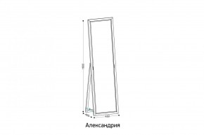 АЛЕКСАНДРИЯ-9.1 Зеркало напольное в Салехарде - salekhard.mebel24.online | фото 2