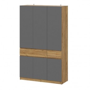 АВИНЬОН Прихожая Шкаф 3-х створчатый с ящиками в Салехарде - salekhard.mebel24.online | фото