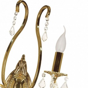Бра Arti Lampadari Ercolano Ercolano E 2.1.2.602 G в Салехарде - salekhard.mebel24.online | фото 8