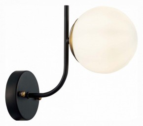 Бра EVOLUCE Ciane SLE1098-401-01 в Салехарде - salekhard.mebel24.online | фото 3