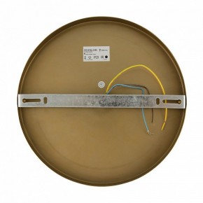 Бра Freya Zelda FR5125WL-01BS в Салехарде - salekhard.mebel24.online | фото 6