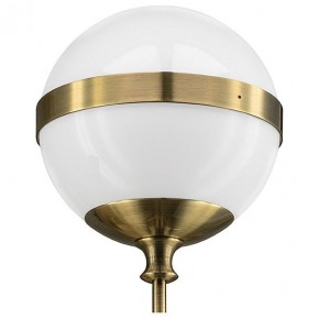Бра Lightstar Globo 813611 в Салехарде - salekhard.mebel24.online | фото 3